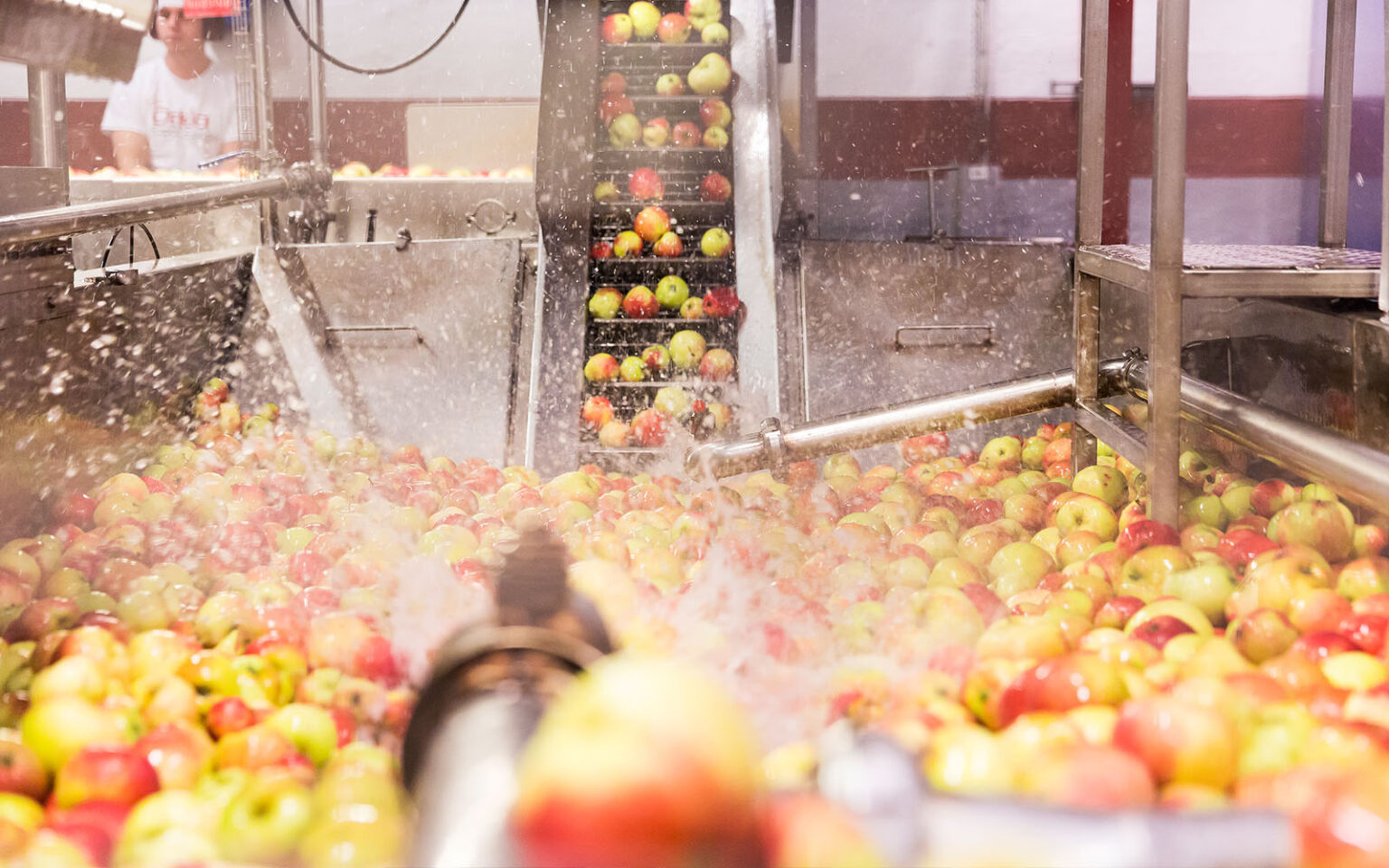 Massvis med äpplen som får en rejäl dusch i Orklas anläggning i Tollarp.