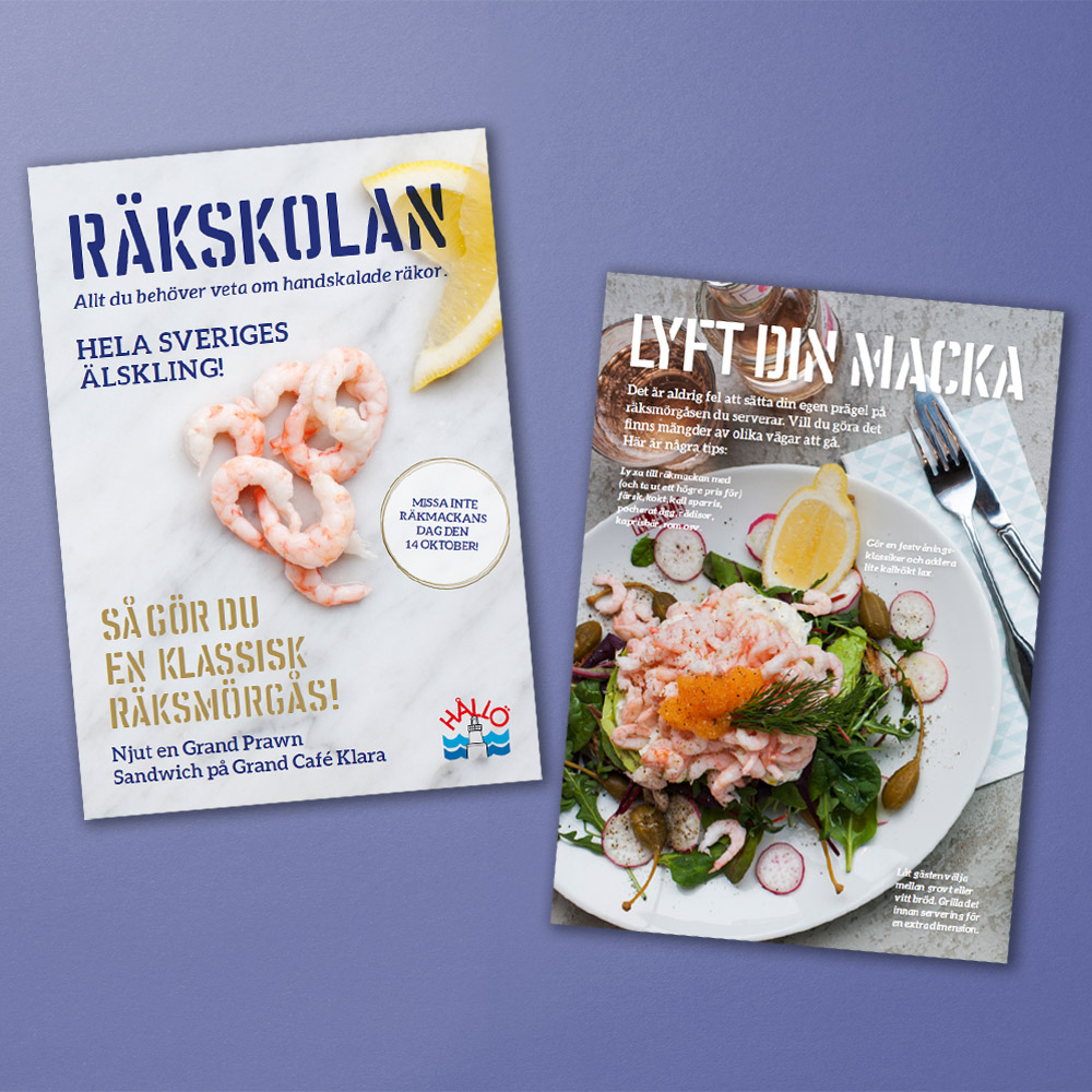 Mockup av inspirationsblad med räkskolan från Hållö.